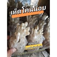 ราคา ก้อนเชื้อเห็ดโคนน้อย 10 ก้อน สำเร็จรูปพร้อมเปิดดอก พร้อมคู่มือการเพาะ (18092384495)