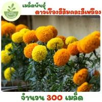 ราคา เมล็ดพันธุ์ดอกดาวเรืองสีส้มคละสีเหลือง 300 เมล็ด (47209054916)