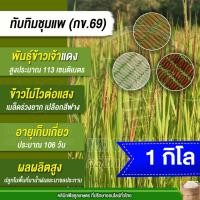 ราคา เมล็ดพันธุ์​ข้าว ทดลองปลูก ข้าวจ้าวแดง ทับทิมชุมแพ กข.69 นาปี นาปรัง ต้นเตี้ย หอมนุ่มนาน 1 กก.คูลเกษตร ไรซ์ KR90 (42455134019)
