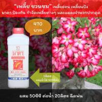 ราคา ยากำจัด เพลี้ยชวนชม เพลี้ยอ่อนชวนชม เพลี้ยแป้งชวนชม เพลี้ยต่างๆ ฉีดพ่น มาคา (10053539532)