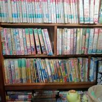 ราคา หนังสือการ์ตูน​มือสอง หนังสือการ์ตูน​ญี่ปุ่น​ kk หมึกจีน มือสอง (18362370988)