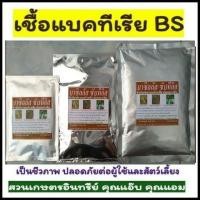 ราคา หัวเชื้อ บีเอส , บาซิลลัส ซับทีลิส , BS ขนาด 100-500 กรัม ป้องกัน กำจัดเชื้อรา รากเน่า โคนเน่า ใบไหม้ แคงเกอร์ กุ้งแห้ง (3263047297)