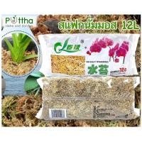 ราคา สแฟกนั่มมอส(Sphagnum moss) 12L 120กรัม เกรดAAA (19580223362)