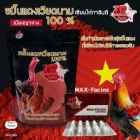 ราคา ขมิ้นแดงเวียดนาม 100% ต้นกำเนิดสายพันธุ์ขมิ้นแดง ขนาด 500g. + Max-Facins TC Chatchon farm (26256762558)