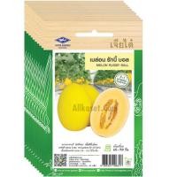 ราคา เมล็ดเมล่อน รักบี้บอล เจียไต๋ ขายส่ง ยกห่อ (1 ห่อ บรรจุ 10 ซอง) (42958244801)