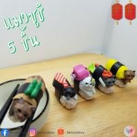 ราคา ฟิกเกอร์แมว โมเดลแมว แมวซูชิ ขายแยก 5 ชิ้น พร้อมส่ง ฟิกเกอร์ โมเดล Figure Model (7935678555)