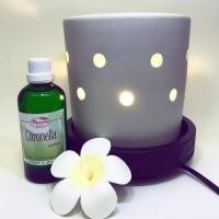 ราคา Panita เตาไฟฟ้าศิลาดล ขนาดใหญ่ + น้ำมันหอมระเหยยูคาลิปตัส แท้ 100 ml (1283640377)