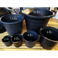 ราคา กระถางพลาสติคสีดำ ขนาด 2.5-7.5 นิ้ว (1553366716)