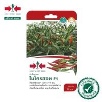 ราคา ศรแดง เมล็ดพันธุ์พริกขี้หนู F1 ไมโครฮอท (East-West Seed) เมล็ดพันธุ์ ผักสวนครัว ตราศรแดง (20047957826)