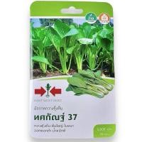 ราคา ศรแดง ผักกาดกวางตุ้งต้น ทศกัณฐ์ 37 (5000 เมล็ด) (29058916760)