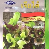 ราคา เมล็ดพันธุ์ผักสลัด พันธุ์สลัดมิกซ์ (1976854478)
