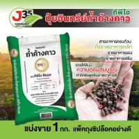 ราคา ปุ๋ยอินทรีย์ถ้ำค้างคาว 1 กิโล แบบเม็ด ช่วยให้ดินมีความอุดมสมบูรณ์ พืชดูดซึมธาตุอาหารได้ดี ปุ๋ยขี้ค้างคาว TPI (25021942969)