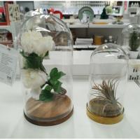 ราคา IKEA,แท้,โดมแก้วพร้อมฐานอิเกีย,อีเกีย, ikea,โชว์ของตกแต่ง,ใส่ต้นไม้,ของโชว์ (19686577184)