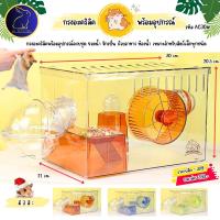 ราคา กรงหนูแฮมสเตอร์ วินเทอร์ไวท์ กรงดอร์เมาส์ กรงอะคริลิค (ไม่มีห้องน้ำ) AC30 กรงสัตว์เลี้ยง (26523211656)