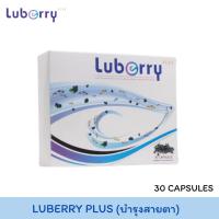 ราคา Luberry plus Eye Health (30 แคปซูล) ลูเบอร์รี่ พลัส บำรุงสายตา by B2 Health (29728683681)