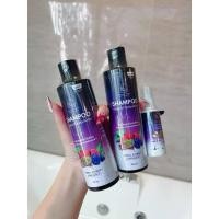 ราคา (ยกเซ็ตแชมพู 2 เซรั่ม 1)แชมพูพรทิน่า แชมพู สมุนไพร พรทิน่า Shampoo Pontina (25037965408)
