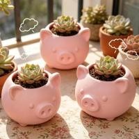 ราคา น่ารักมินิการ์ตูนลูกหมู 3ง พิมพ์ กระถางต้นไม้ - สวนดอกไม้ในร่มปลูกรูปร่างหมูกระถางดอกไม้ (49409933535)