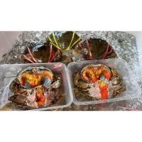 ราคา ปูไข่ดองน้ำปลากวน ส่งสินค้าโดยรถคุมอุณหภูมิ (5684214330)