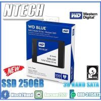 ราคา SSD (เอสเอสดี) WD BLUE 250GB (WDS250G2B0A) 3D NAND SATA (7882656411)