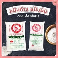 ราคา แป้งท้าว/แป้งมัน ตราปลามังกร ขนาด 480 กรัม (54950643985)