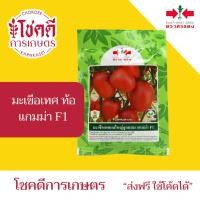 ราคา มะเขือเทศ แกมม่า มะเขือเทศผลใหญ่ (ท้อ) ลูกท้อ เมล็ดพันธุ์ มะเขือเทศ ลูกผสม ตราศรแดง บรรจุ 20 กรัม (44176083695)