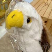 ราคา พร้อมส่ง ตุ๊กตานกอินทรีย์อเมริกาเหมือนจริง American Eagle จากWild Republic Doll ขนนุ่ม ขนาด13นิ้ว ลิขสิทธิ์แท้ (29663905986)