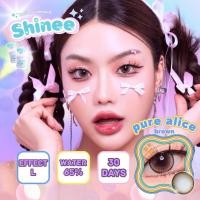 ราคา คอนแทคเลนส์ ✨ขนาดบิ๊กอายโตมาก✨Brown/Gray✨ Pure alice (Shinee) (26359253823)