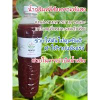 ราคา จุลินทรีย์สังเคราะห์แสง (44204785006)