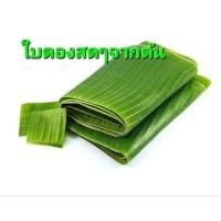 ราคา ใบตองสด ใบตองกล้วยน้ำว้า ใบกล้วย ใบตองทำขนม ใบตองเอนกประสงค์ (29823067145)