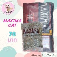 ราคา Maxima อาหารแมวแม็กซิม่า รสเนื้อแกะ (6578956333)
