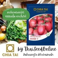 ราคา CTCOM มะเขือเทศสีดาลูกผสม ซองใหญ่ 4000 เมล็ด หมดอายุ 5/2570 เพชรรุ่ง2 ตราเจียไต๋ เพชรรุ่ง มะเขือสีดา Tomato Tomato (2515278091)