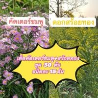 ราคา เซ็ตคัตเตอร์ชมพู+สร้อยทอง ชุด 30 ต้น (26985156858)
