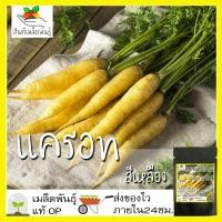 ราคา เมล็ดพันธุ์ แครอท สีเหลือง 300 เมล็ด Solar Yellow Carrot seed เมล็ดพันธุ์แท้ นำเข้าจากต่างประเทศ ปลูกผัก สวนครัว ผักสลัด (10808002686)
