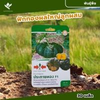 ราคา ศรแดง เมล็ดพันธุ์ฟักทอง ประกายทอง F1 (East West Seed) เมล็ดพันธุ์ผัก เมล็ดพันธุ์ ผักสวนครัว ตราศรแดง (24462246844)