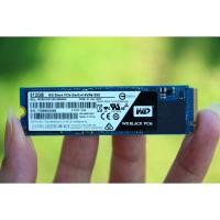 ราคา SSD PCIe/NVMe M.2 WD BLACK 512GB (7053325889)