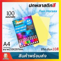 ราคา แผ่นใส ปกพลาสติก สี แผ่นรองปกสี ขนาด A4 บรรจุ 100 แผ่น 10สีให้เลือก (29187996675)