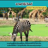 ราคา บัตรเข้าชม 1 วัน ซาฟารีเวิลด์ (โซนซาฟารีปาร์ค + โซนมารีนปาร์ค) (48109626173)