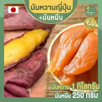 ราคา มันหวานญี่ปุ่น 1 กก. + มันหนึบญี่ปุ่น 250 กรัม ขนมญี่ปุ่น เบนิฮารุกะ นำเข้าจากญี่ปุ่น มันหนึบ มันหวาน มันหวานหนึบ (11732821714)