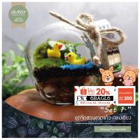 ราคา ชุดจัดสวนขวดแก้ว ทรงกลมเอียง ครบเซ็ต Terrarium Set 1. พร้อมส่ง มี 3 ขนาด S. M. XL ชุดจัดสวนขวด (5635852950)