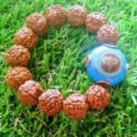 ราคา Model:HD003 ข้อมือเมล็ดรุทรักษะ รุทรักษะ นำเข้าจาก อินเดีย Bead Nepal นำเข้าจาก เนปาล (572229029)
