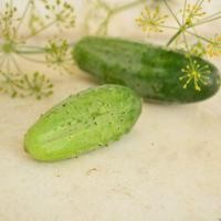 ราคา 30 เมล็ด แตงกวา แตงขี้ไก่ แตงร้าน Non-GMO Cucumber Seeds สายพันธุ์ Boston Pickling (43222652267)