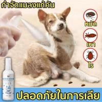 ราคา กำจัดเห็บและหมัด ยาฆ่าเห็บหมัด สเปรย์กำจัดเห็บ กำจัดเห็บหมัดสุนัข ยาแก้เห็บหมัด น้ำยากำจัดเห็บหมัด ยาหยอดเห็บหมัด เห็บแม (17692581528)