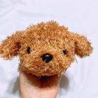 ราคา ตุ๊กตา หมา พุดเดิล พุดเดิ้ล poodle dog สีน้ำตาลอ่อน (28272000726)