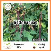 ราคา เมล็ดพันธุ์ถั่วฝักยาวสีม่วง 5 เมล็ด (50052749961)