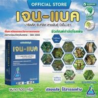 ราคา เจน-แบค ขนาด 500 กรัม บาซิลลัส ซับทิลิส สายพันธุ์ บีเอ็ม-01 จาก ทีเอบี Bacillus subtilis BM-01 500g TAB เชื้อบีเอส bs (20145458879)