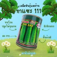 ราคา เมล็ดพันธุ์แตงร้าน เมล็ดพันธุ์ เมล็ดแตงร้านแตงร้านดกๆ แตงร้านท่าแซะ111 ขนาด 3500 เมล็ด 850 บ (40318864807)