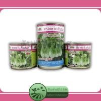 ราคา มะเขือเปราะ น้ำหยดราชบุรี #29 เมล็ดพันธุ์มะเขือเปราะลูกผสม น้ำหยดราชบุรี #29 ตราตะวันต้นกล้า ปริมาณ 20 / 50 กรัม (22860144562)
