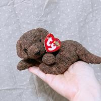 ราคา ตุ๊กตา หมา ลูกหมา ก้นถ่วง ty น่ารักมาก น้องชื่อ fatcher (27954152494)