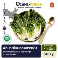 ราคา Oishi-Freshผักฉ่อย ปลอดสารพิษ 1 กก. รสชาติกรอบ สด ใหม่ ใยอาหารสูง หวานออร์แกนิค เคลมได้ 1-2 วัน (29572775469)