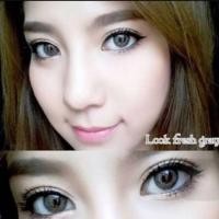 ราคา คอนแทคเลนส์ Look fresh(mini) (312404715)